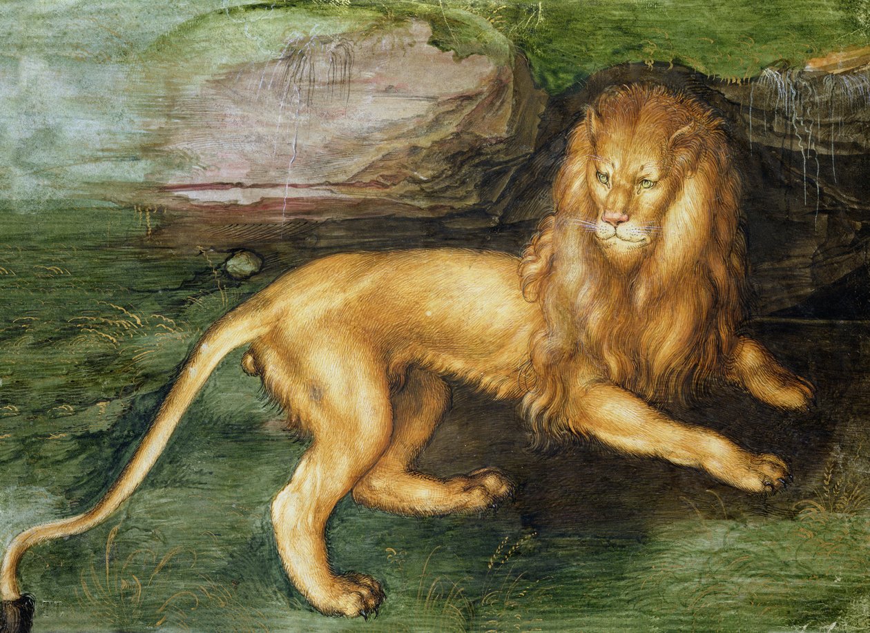 Lion od Albrecht Dürer