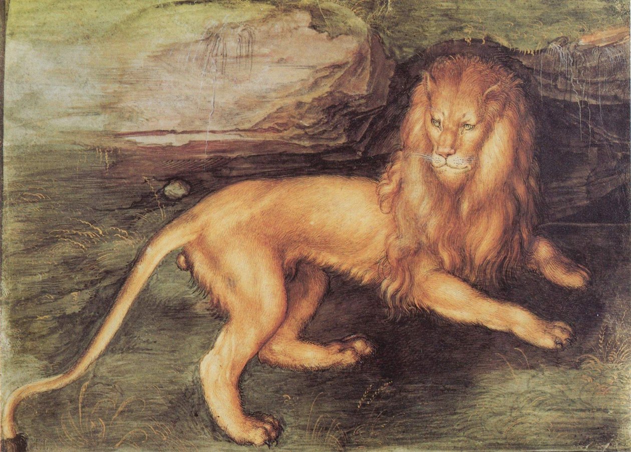 Lev od Albrecht Dürer