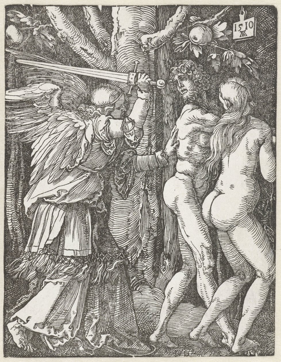 Malá vášeň od Albrecht Dürer