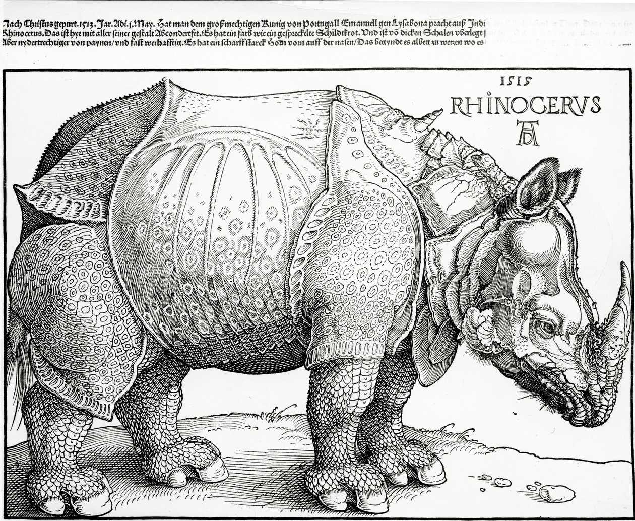 Nosorožec, 1515 od Albrecht Dürer