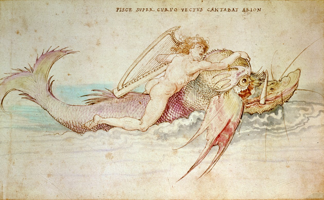Arion, 1514 od Albrecht Dürer