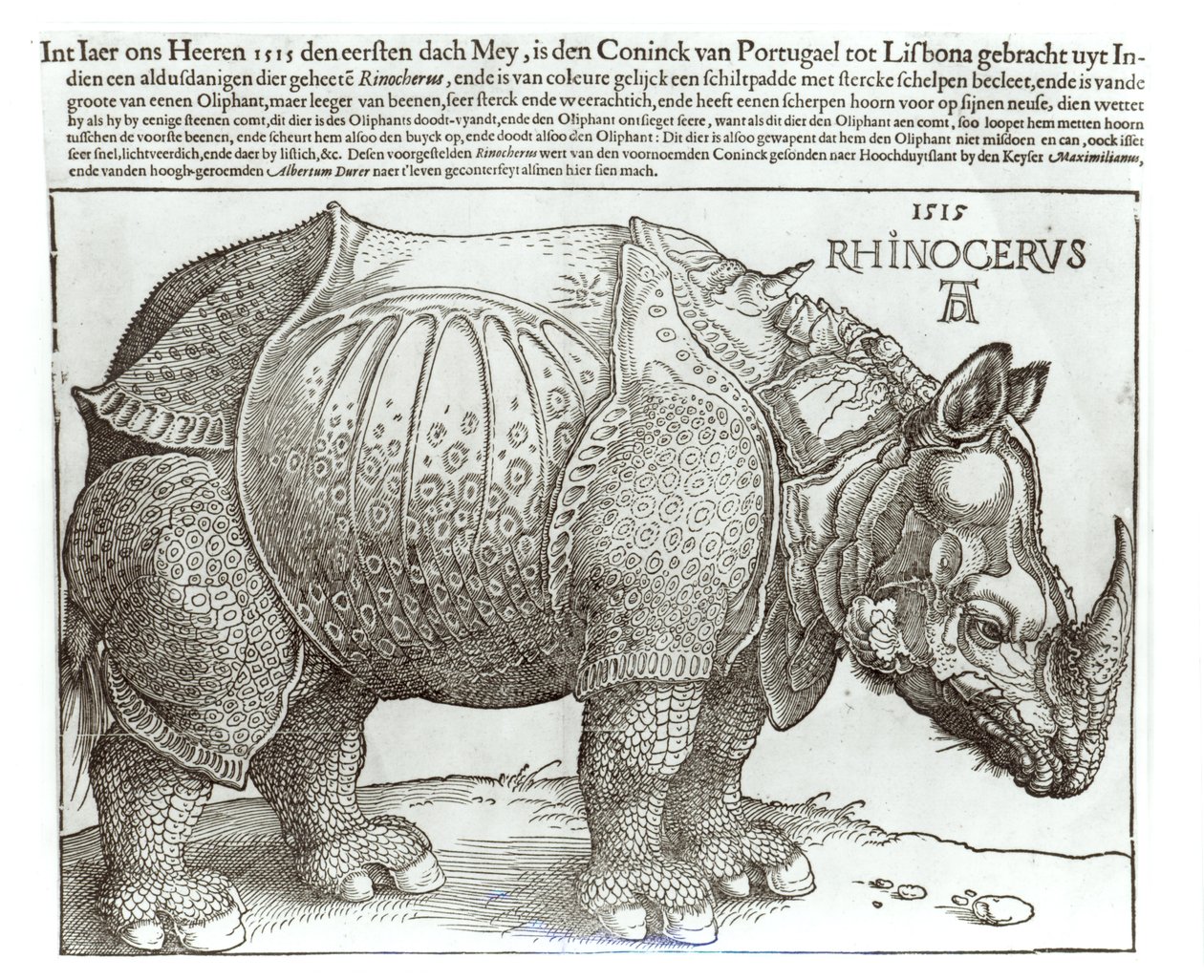 Nosorožec, tisk darovaný Maxmiliánovi I. (1459-1519) králem Lisabonu (1495-1521), 1515 od Albrecht Dürer