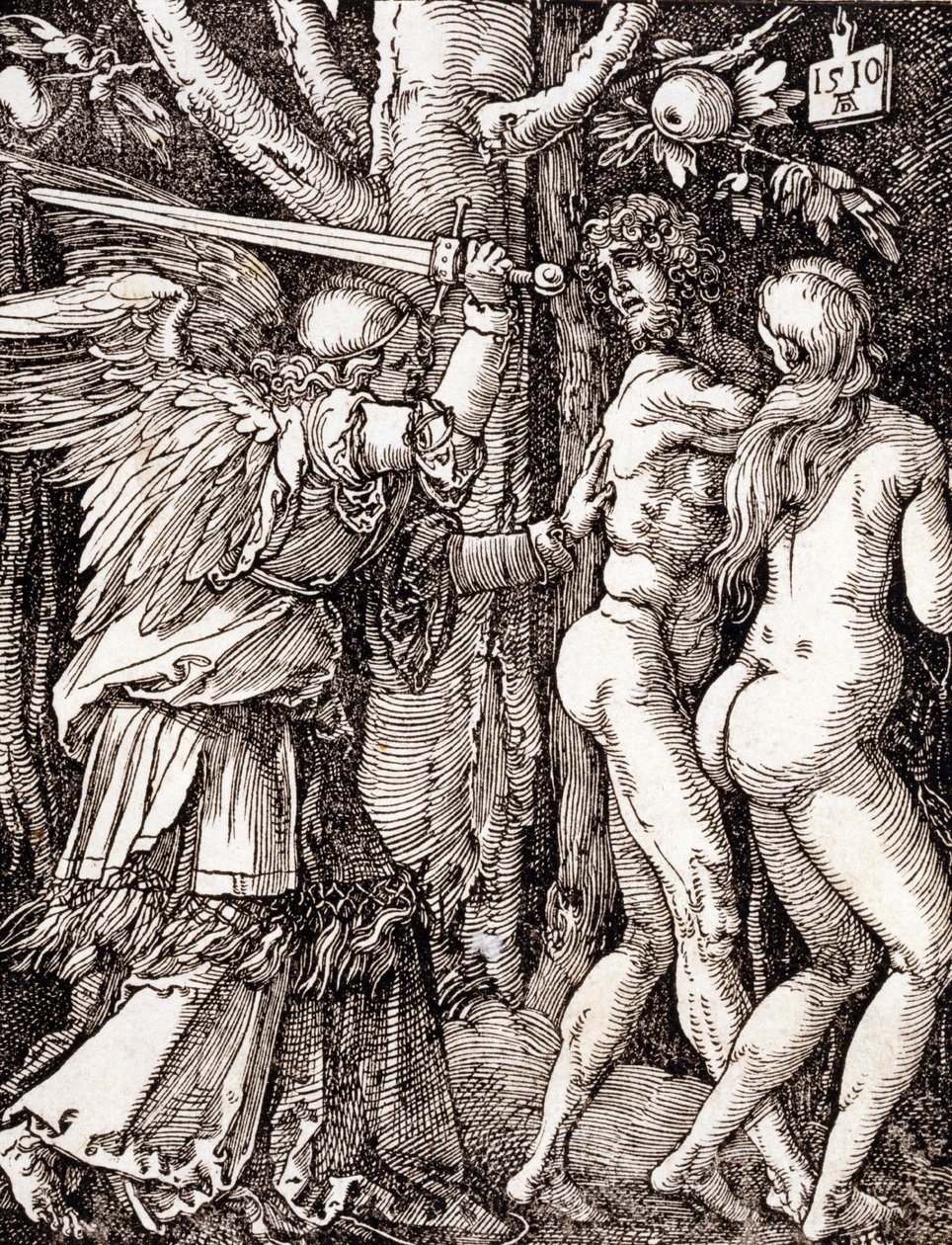 Malá vášeň od Albrecht Dürer