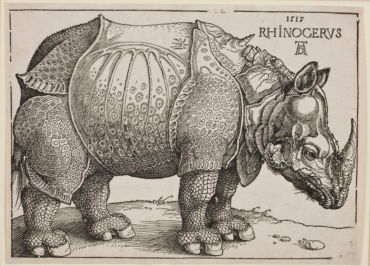 Nosorožec, 1515 od Albrecht Dürer