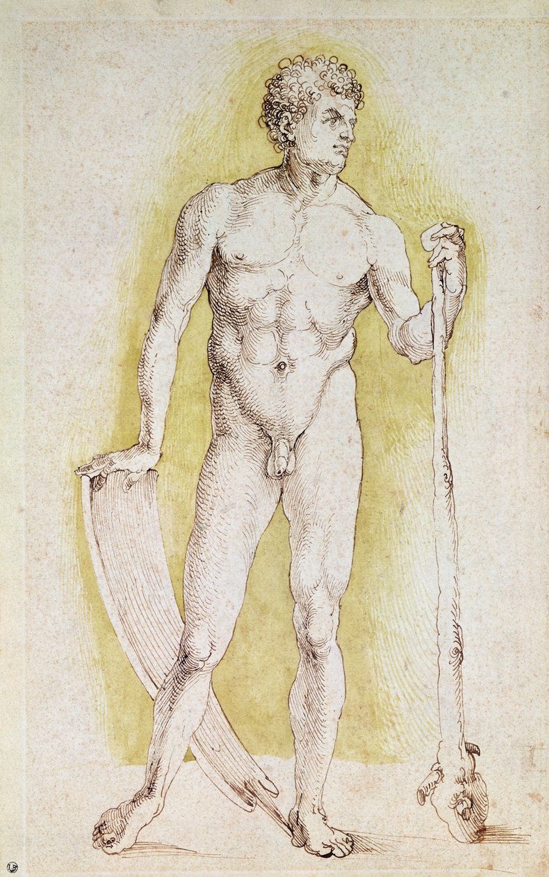 Mladý nahý muž od Albrecht Dürer