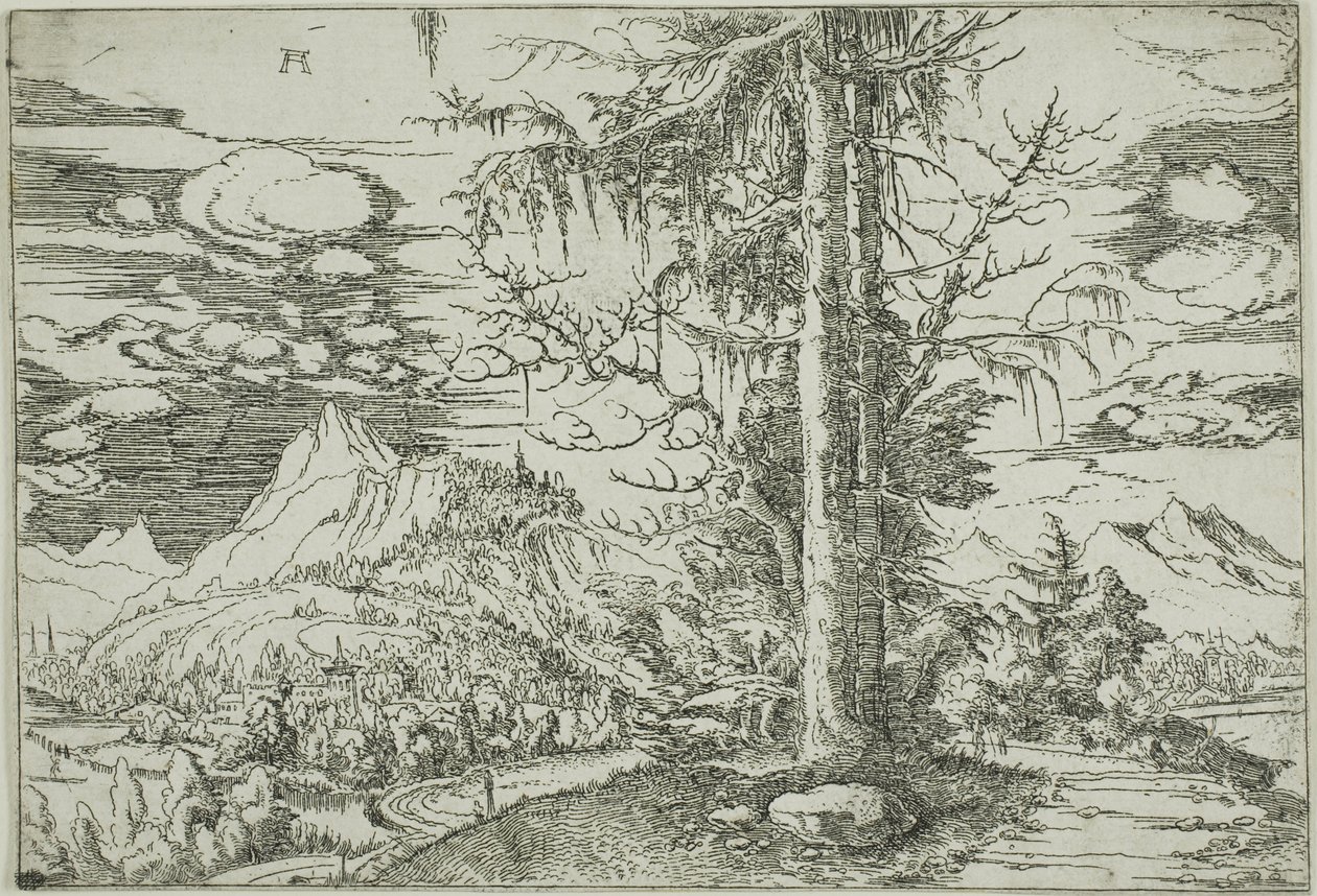 Krajina s dvojitým smrkem od Albrecht Altdorfer