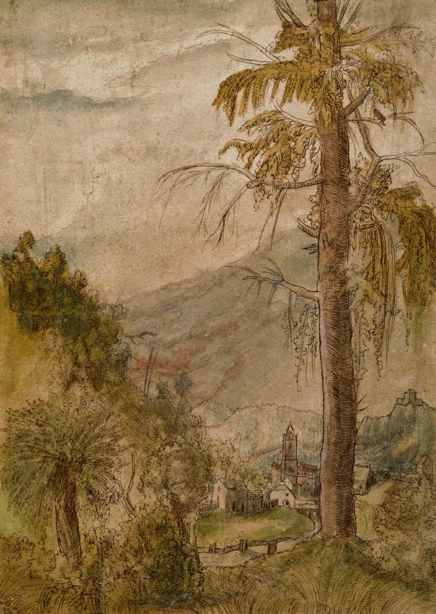 Krajina s kostelem od Albrecht Altdorfer