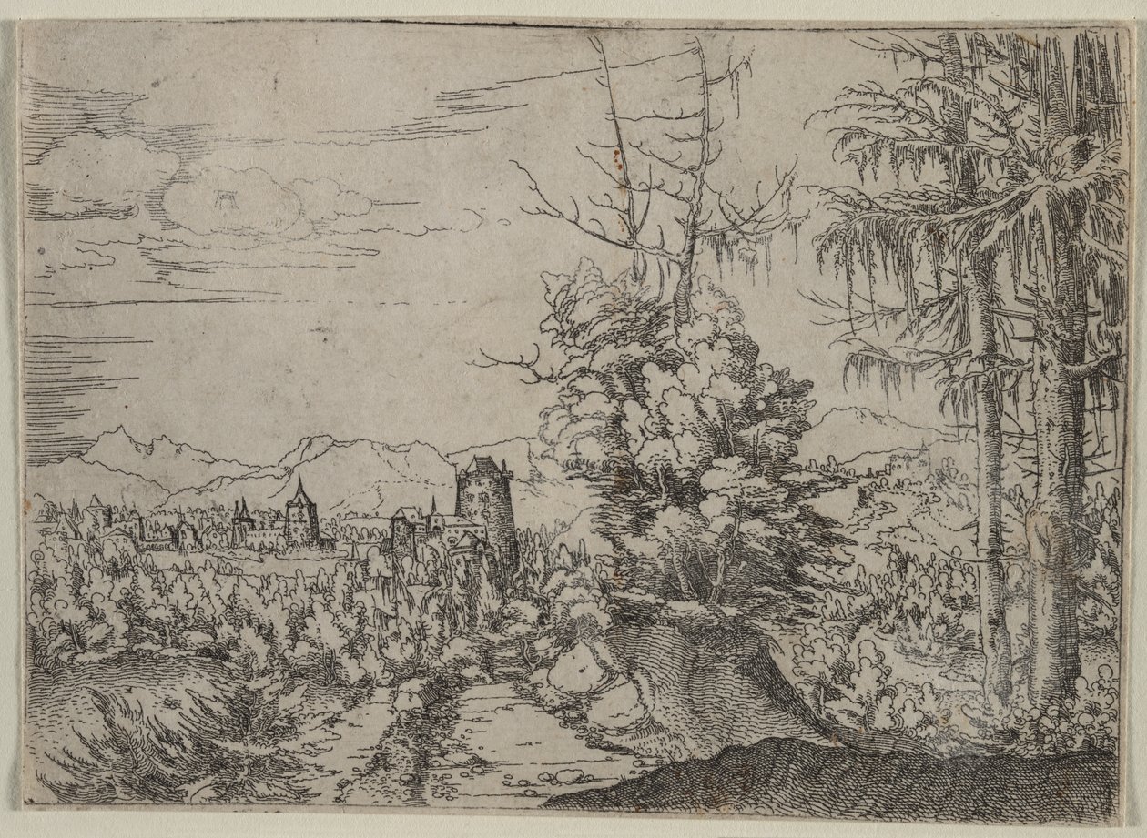 Krajina se dvěma borovicemi, 1522-1525. od Albrecht Altdorfer