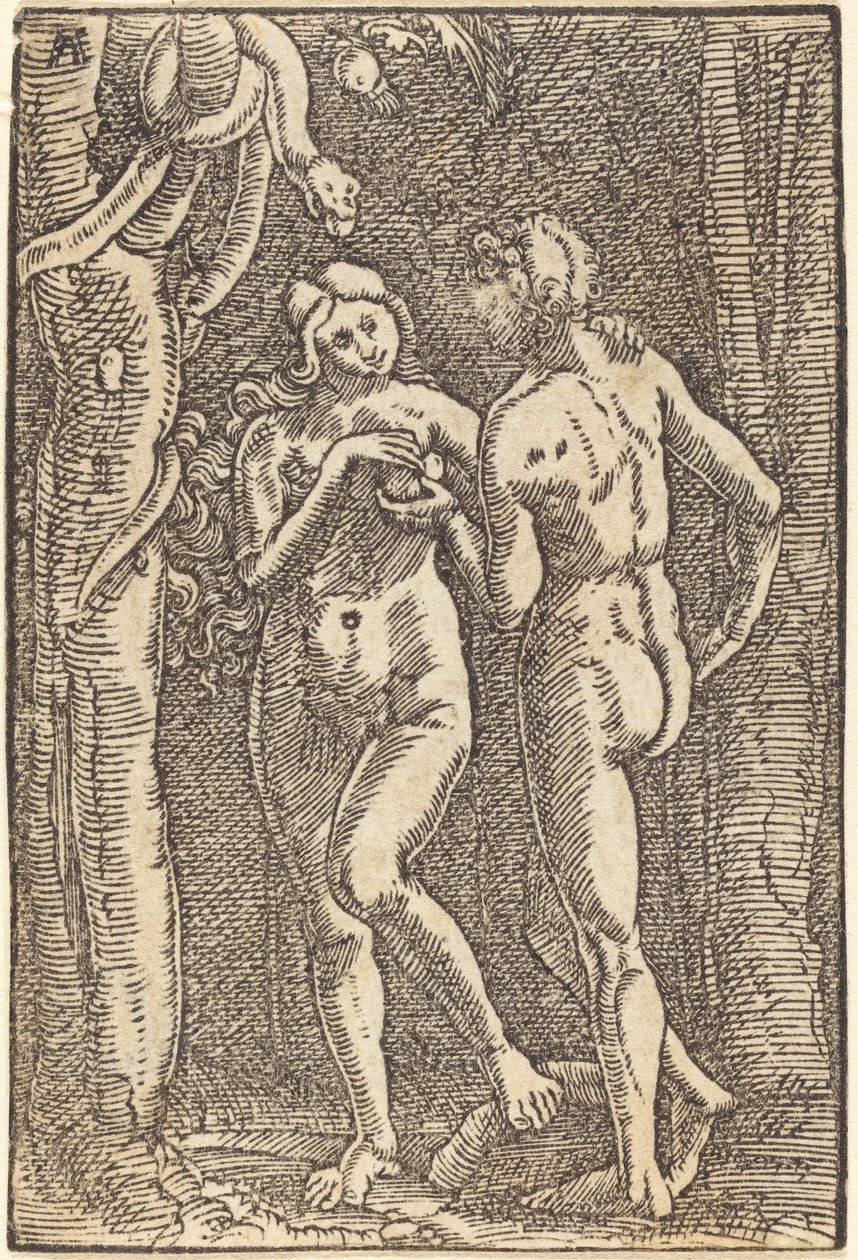 Pád člověka od Albrecht Altdorfer