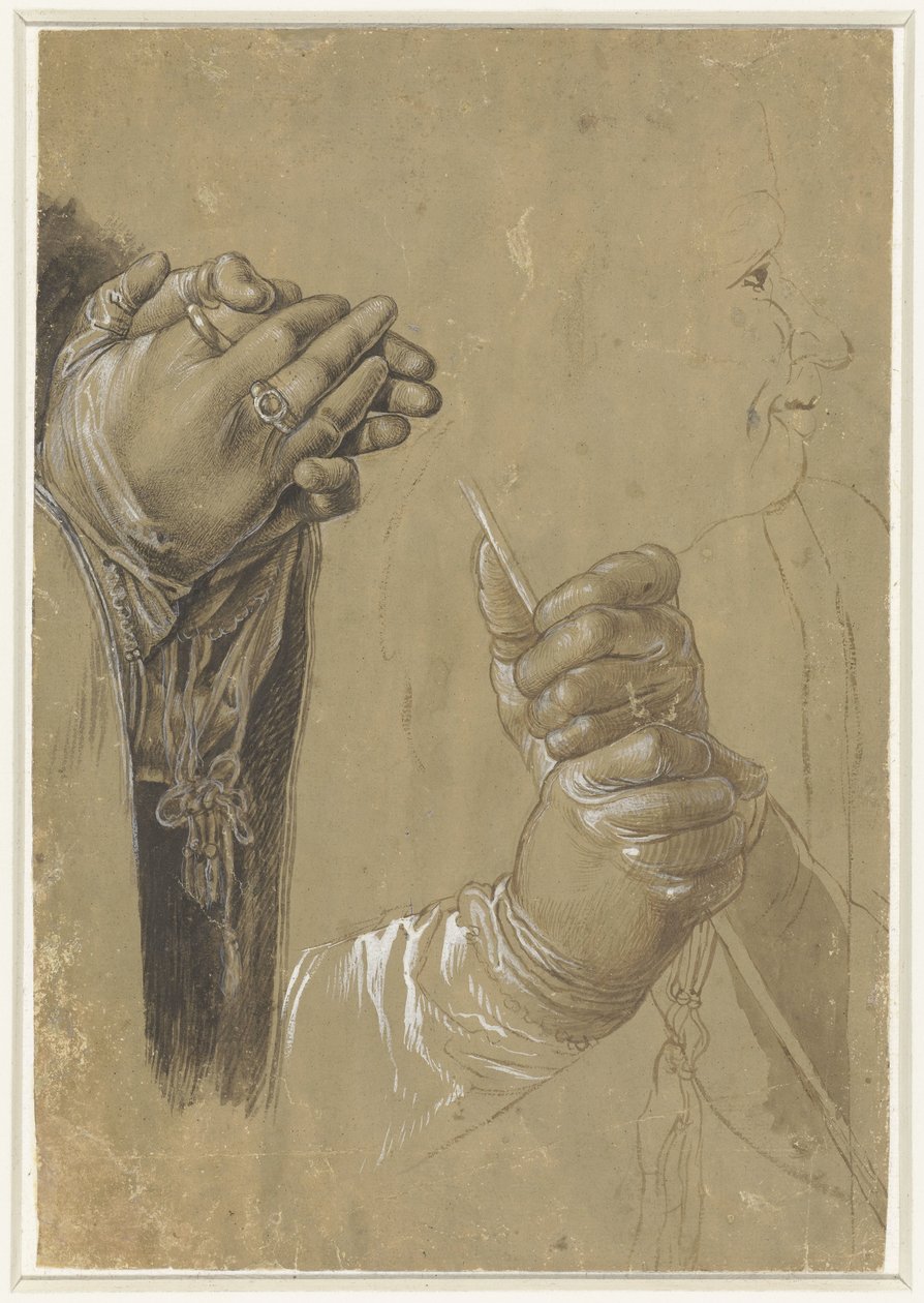 Ruce a profilová hlava od Albrecht Dürer (possibly)