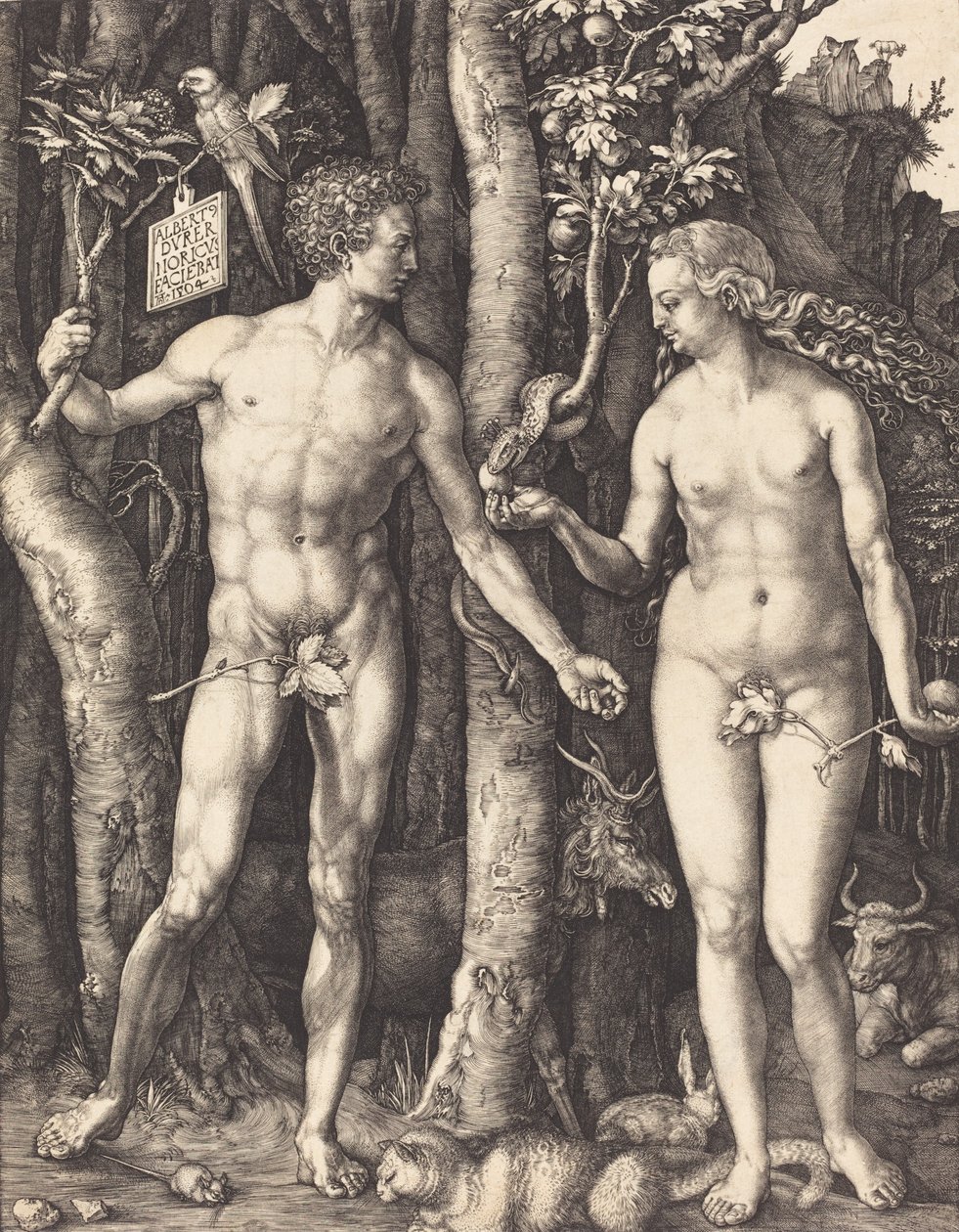 Adam a Eva, 1504. od Albrecht Dürer