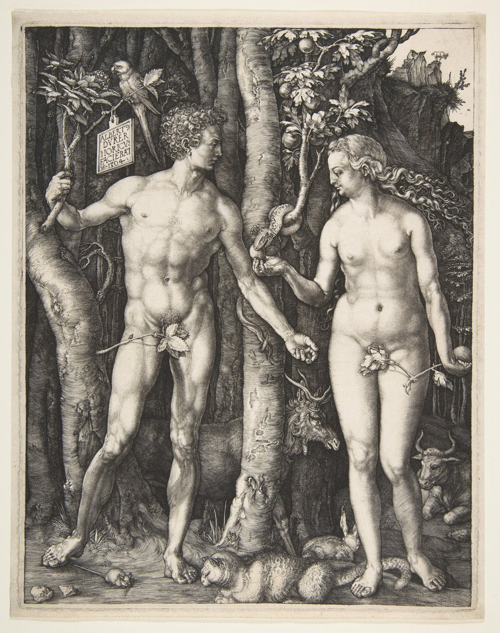 Adam a Eva, 1504 od Albrecht Dürer
