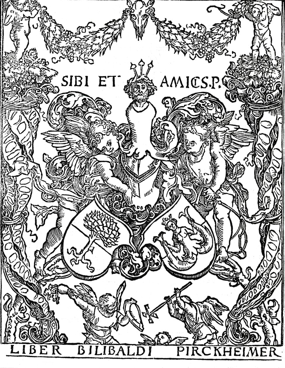 Knihovna Willibalda Pirkheimera, c1502-1503, 1906 od Albrecht Dürer