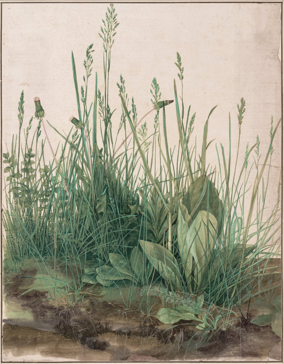 Velký kus trávníku od Albrecht Dürer