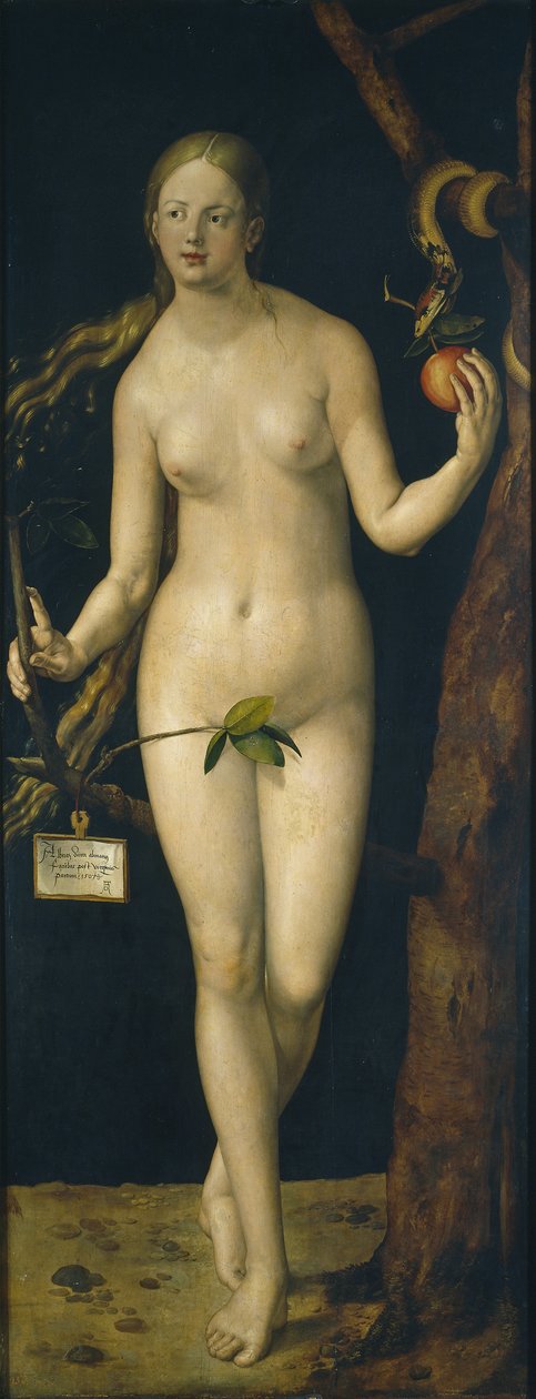 Eva, 1507 od Albrecht Dürer