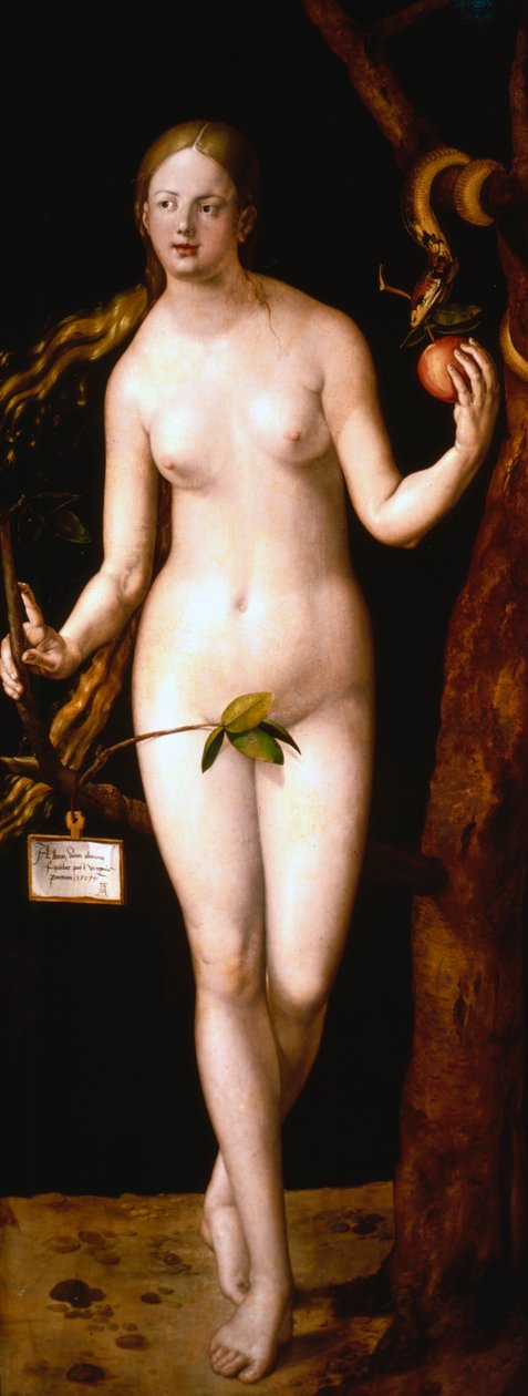 Eva, 1507 od Albrecht Dürer