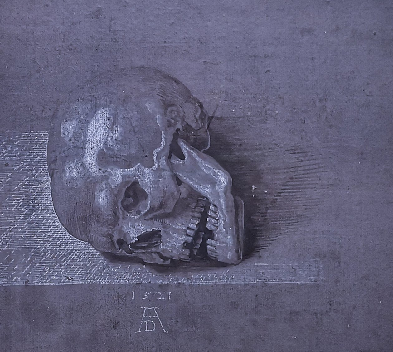 Německy: Totenschädel. od Albrecht Dürer