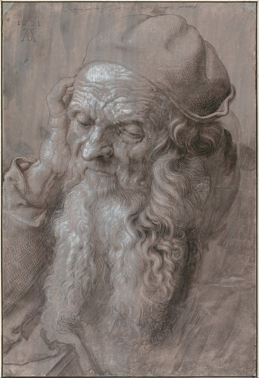 Hlava starého muže, 1521 od Albrecht Dürer