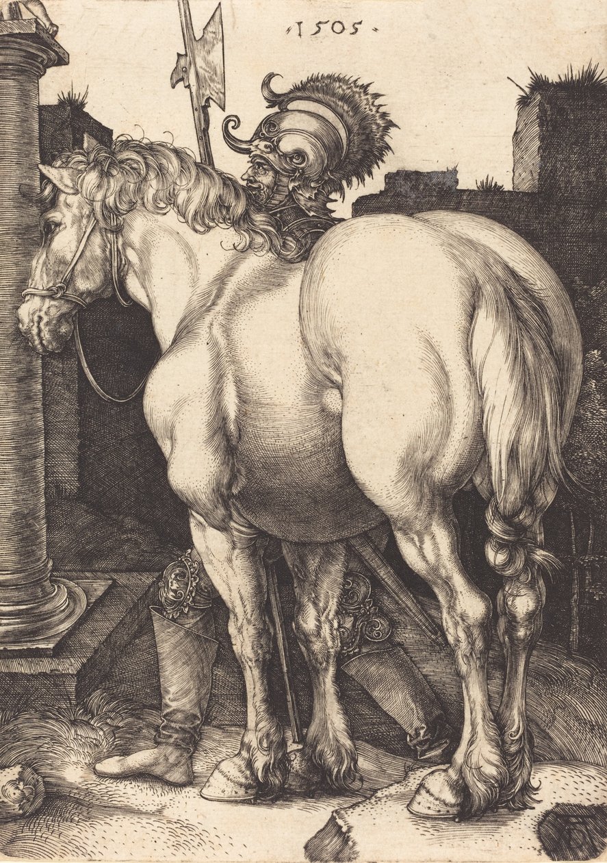 Velký kůň, 1505. od Albrecht Dürer