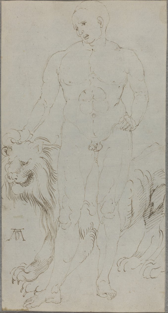 Mužský akt se lvem [verso] od Albrecht Dürer