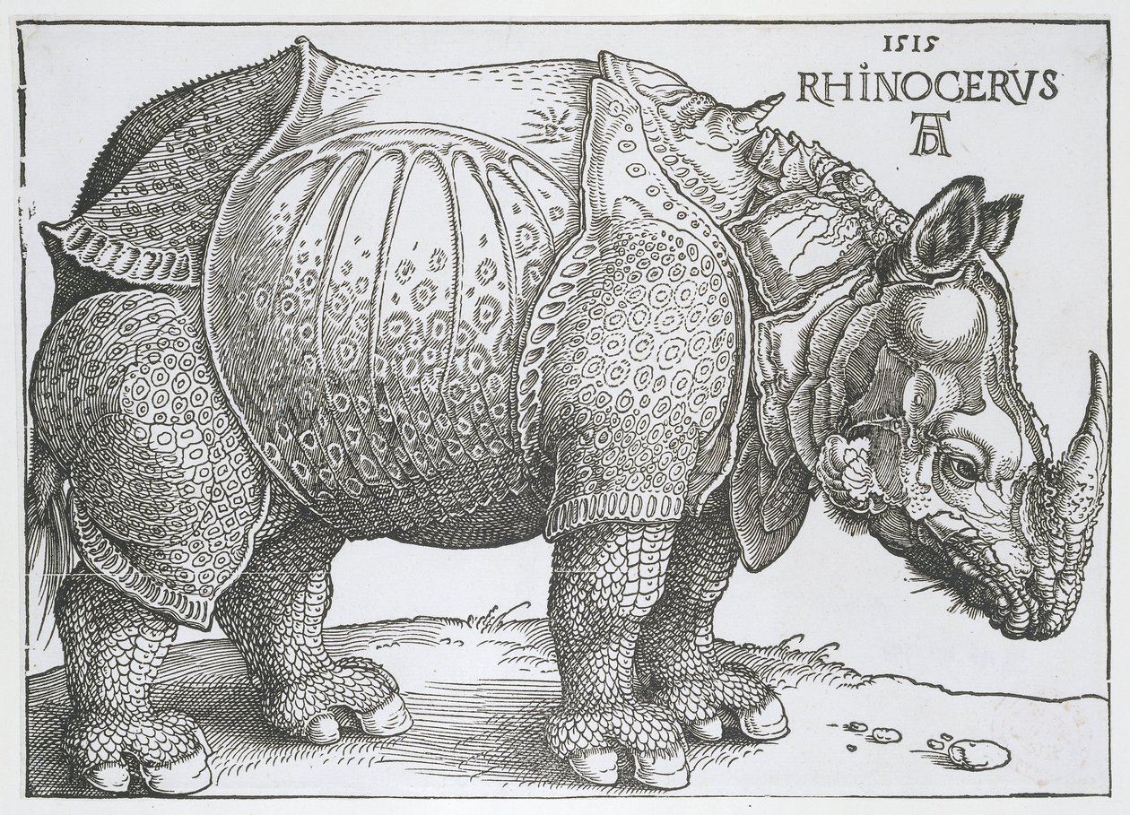 Neushoorn Rhinocerus (název na objektu) od Albrecht Dürer