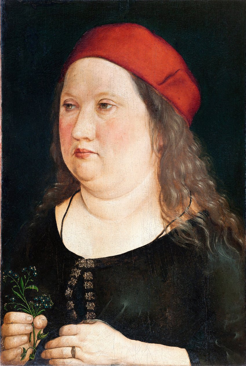 Portrét muže, 1497 od Albrecht Dürer