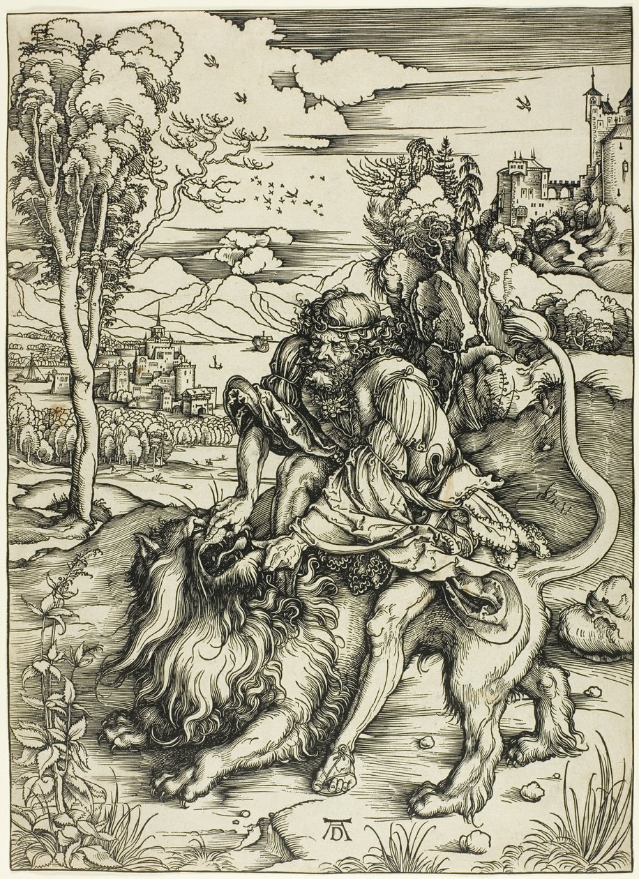 Samson Rending the Lion od Albrecht Dürer