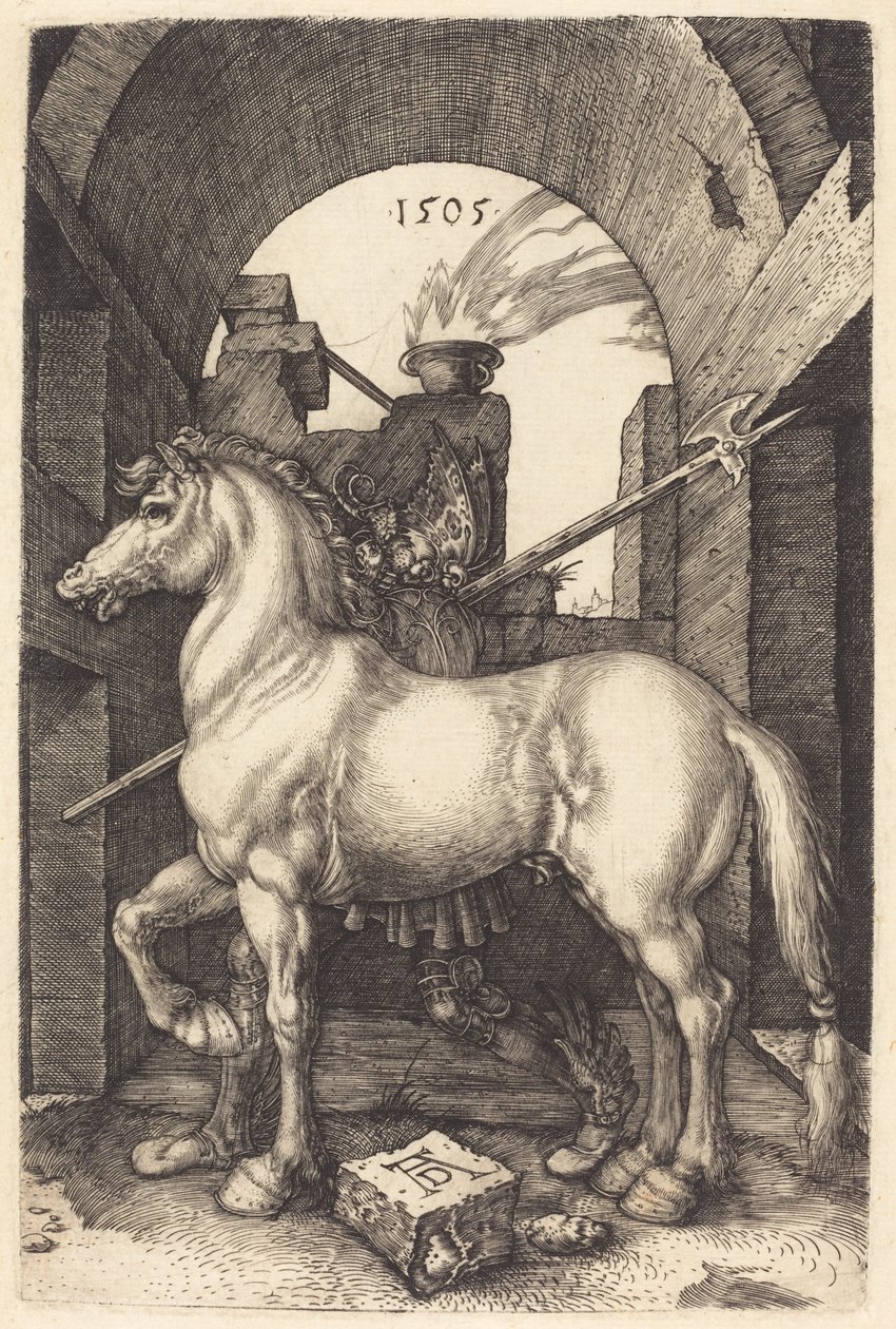 Malý kůň, 1505. od Albrecht Dürer
