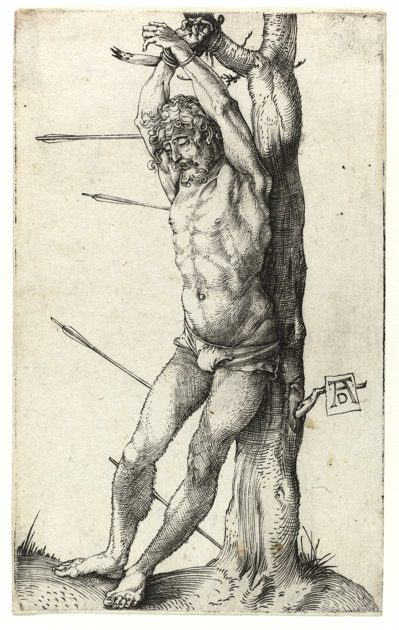St. Sebastian přivázaný ke stromu, kolem roku 1501 od Albrecht Dürer