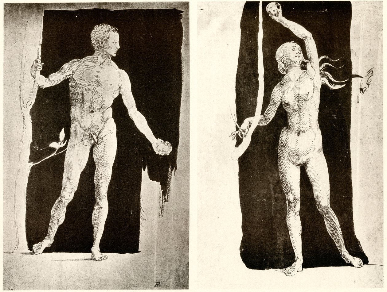 Studie o Adamovi a Evě od Albrecht Dürer