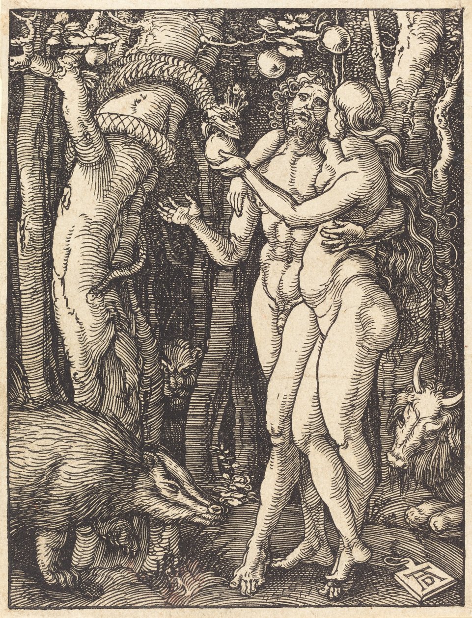 The Fall of Man, pravděpodobně c. 15091510. od Albrecht Dürer