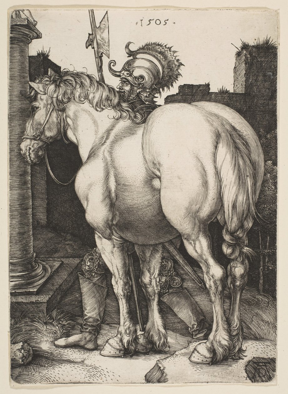 Velký kůň, 1505. od Albrecht Dürer