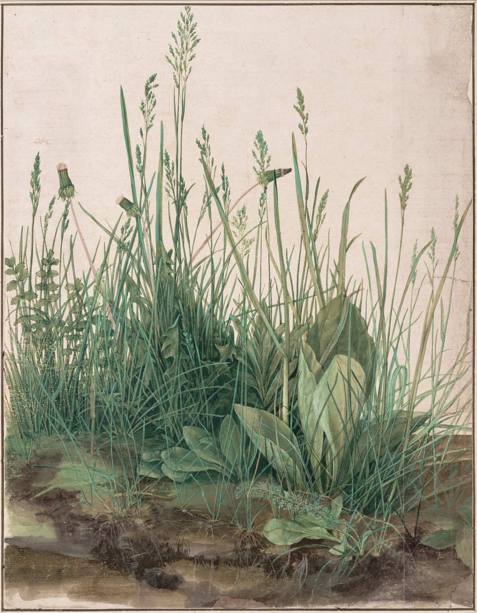 Velký kus trávníku, 1503 od Albrecht Dürer
