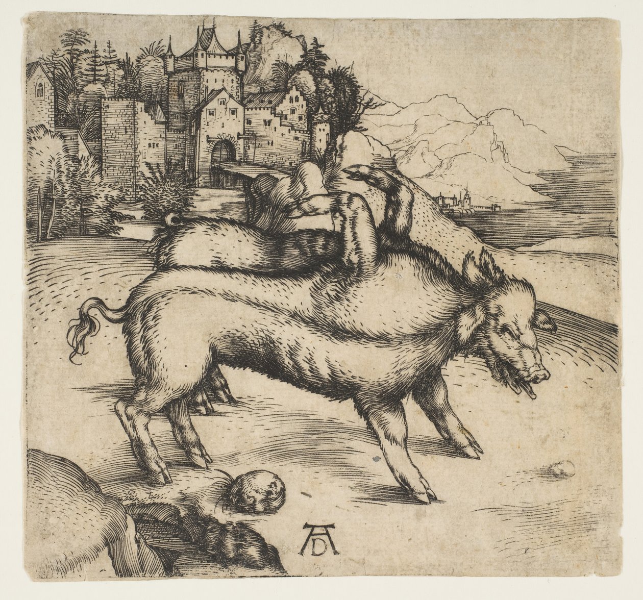 The Monstroous Pig of Landser, ca. 1496. od Albrecht Dürer
