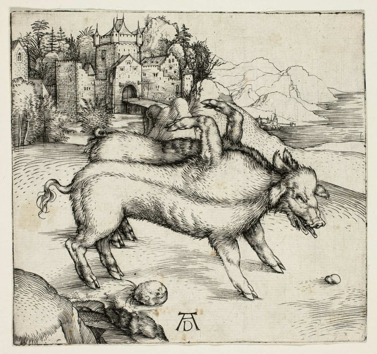 Landserova monstrózní prasnice od Albrecht Dürer