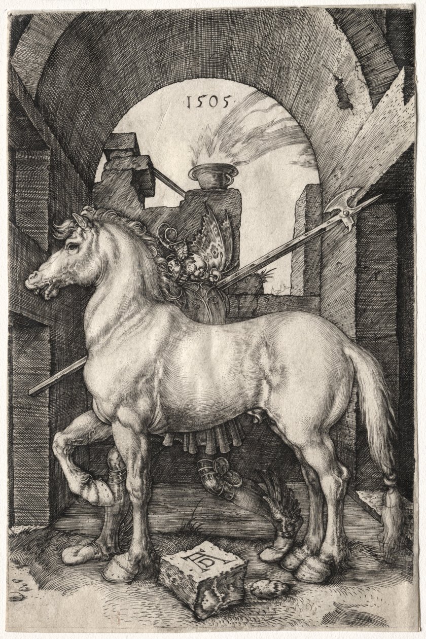 Malý kůň od Albrecht Dürer