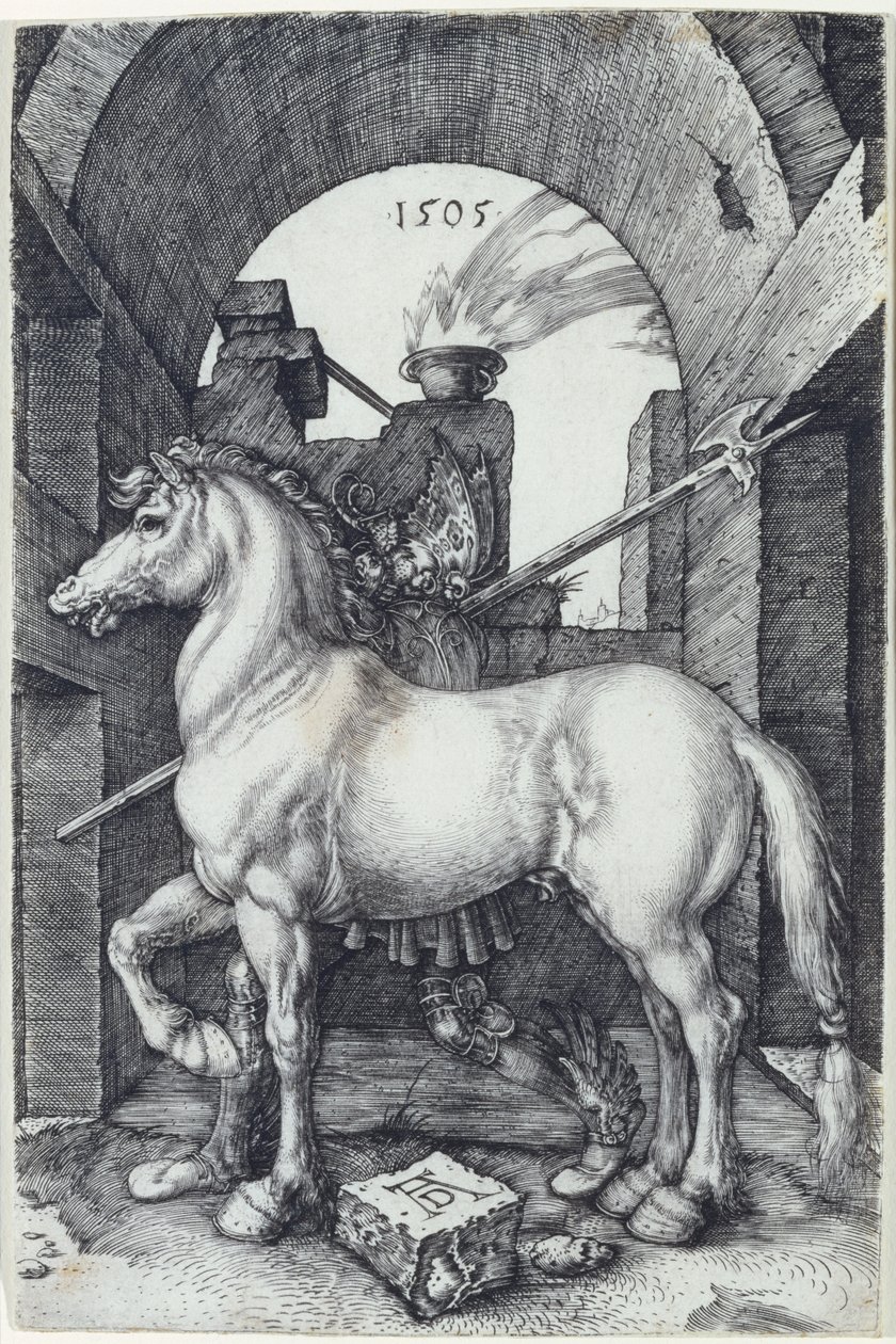 Malý kůň, 1505 od Albrecht Dürer