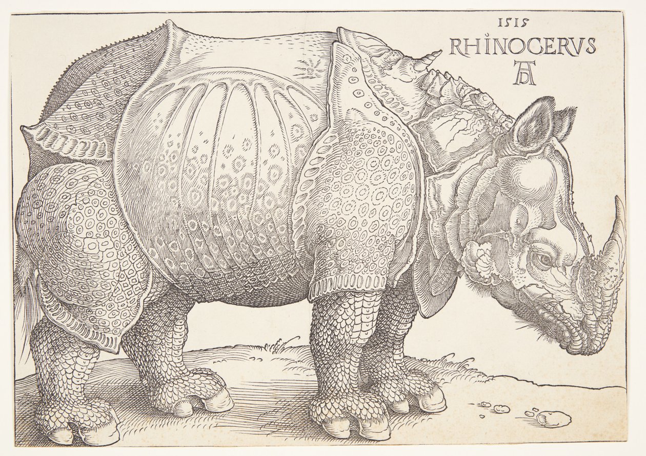 Nosorožec od Albrecht Dürer