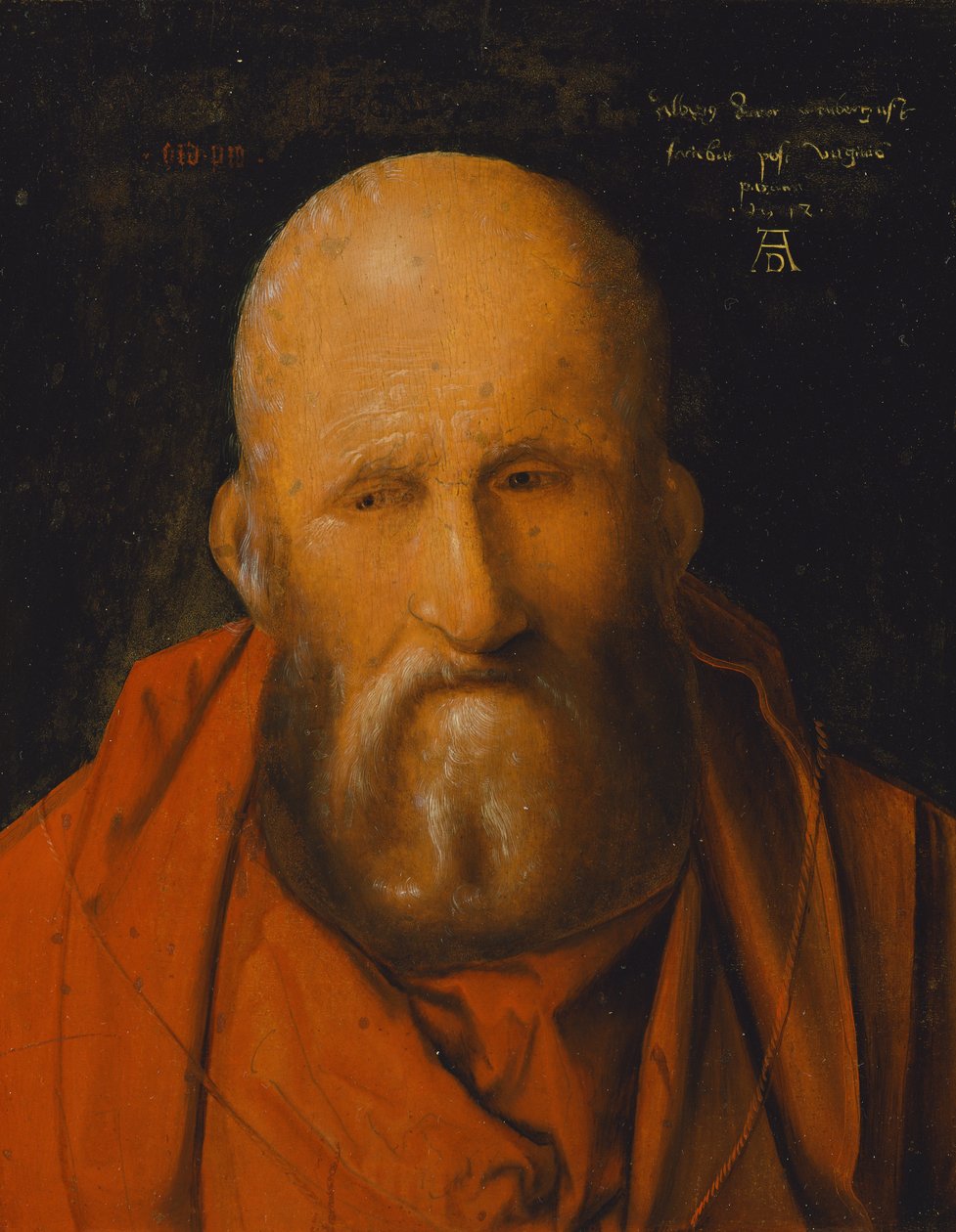 Svatý Jeroným od Albrecht Dürer