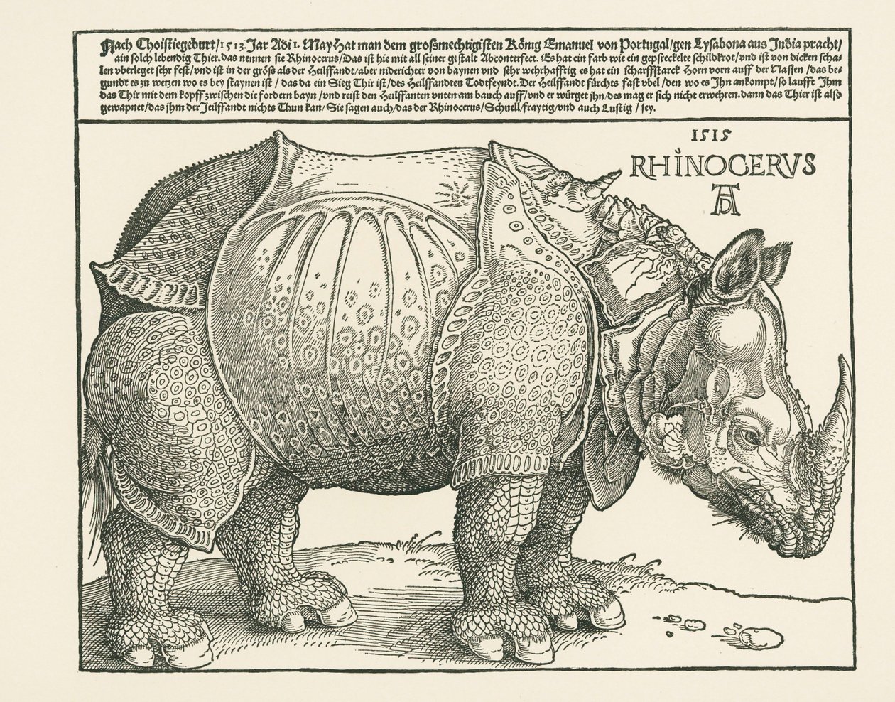 Nosorožec od Albrecht Dürer or Duerer