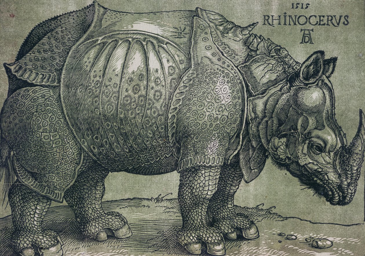 Nosorožec, 1515 od Albrecht Dürer