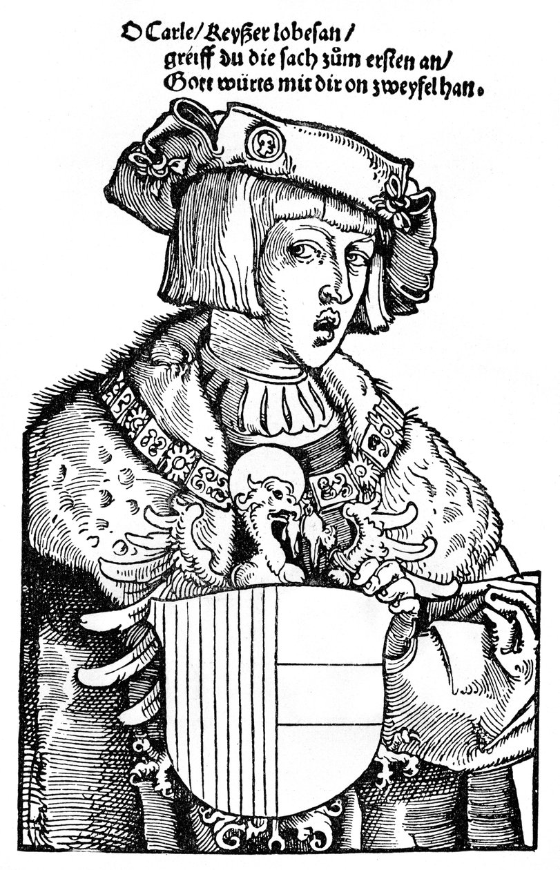 Mladý Karel V od Albrecht Dürer
