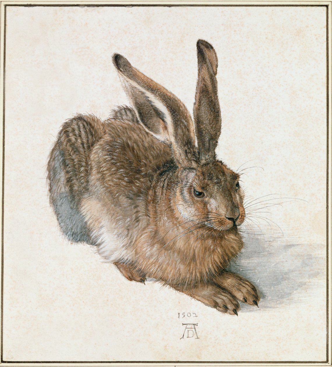 Mladý zajíc od Albrecht Dürer or Duerer