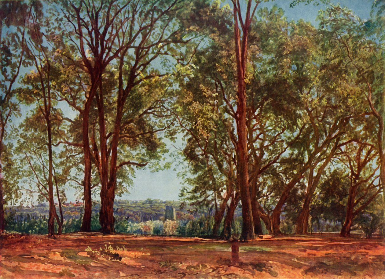 V parku Aricci, 30. léta 19. století, 1965. od Aleksandr Ivanov