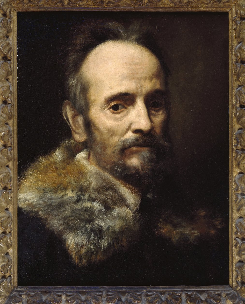 Bernardo Davanzati Bostichi od Alessandro Allori