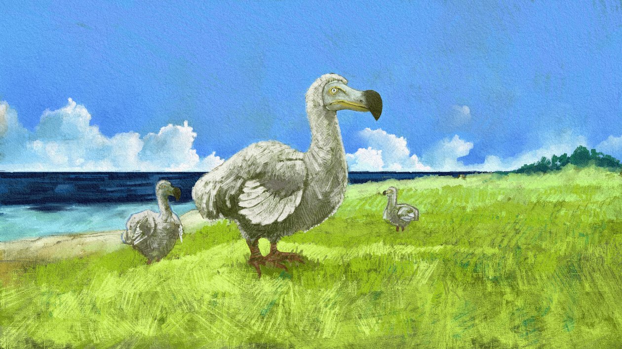 Znázornění vyhynulého ptáka dodo (ilustrace) od Alessandro Lonati