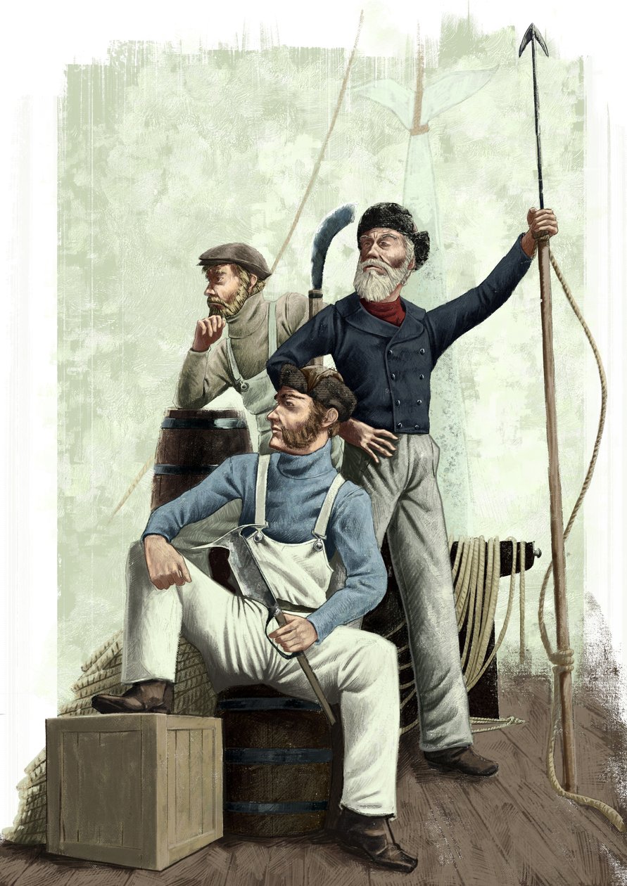 Tři velryby od Alessandro Lonati