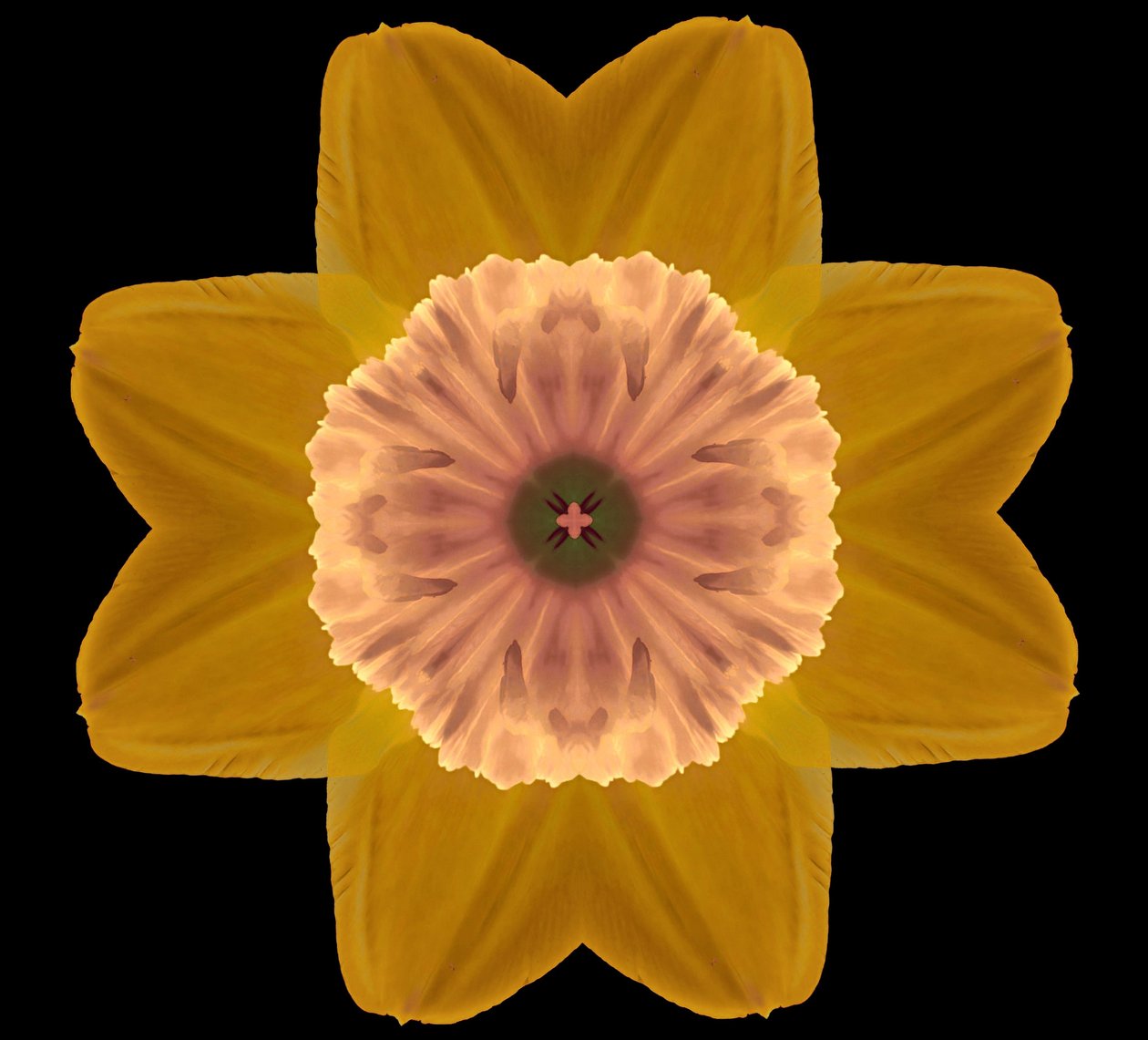 Symmetry, 2019, (fotografie) od Alex Caminker