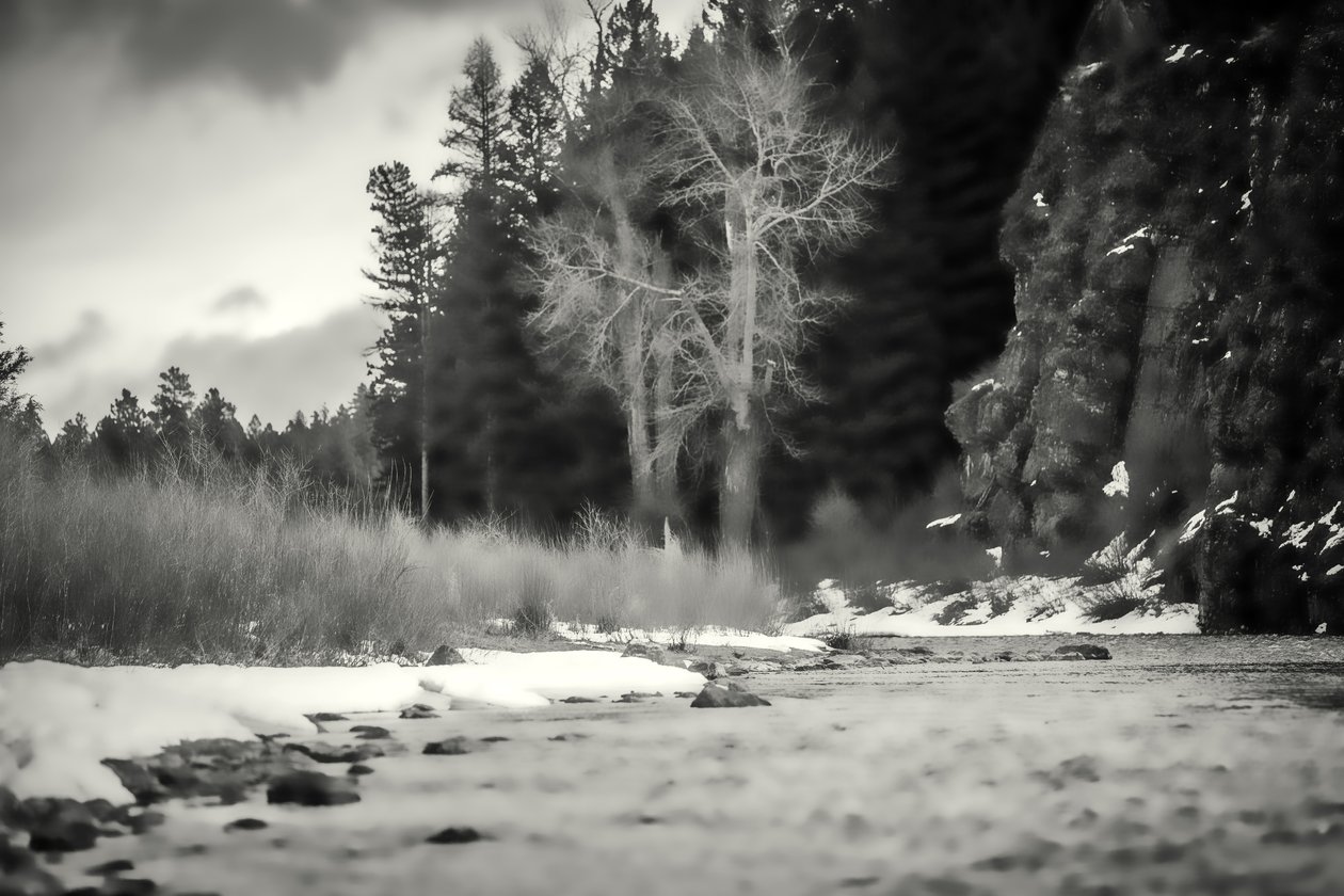 akcenty, 2019, (fotografie) od Alex Caminker