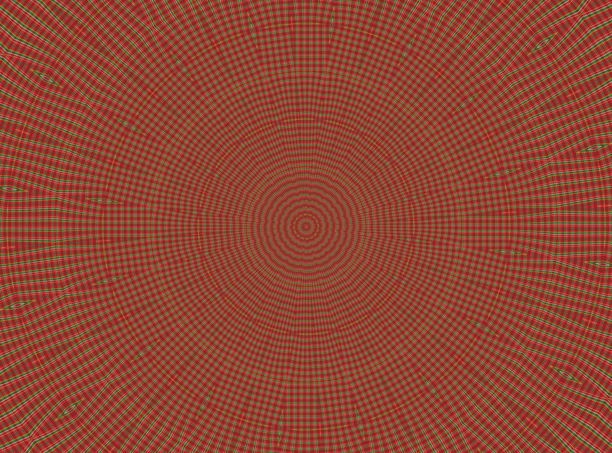 ozdoba #2,2019,(kombinovaná média) od Alex Caminker